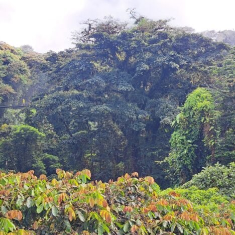 Pérou : le rêve brisé, le corps qui dit stop