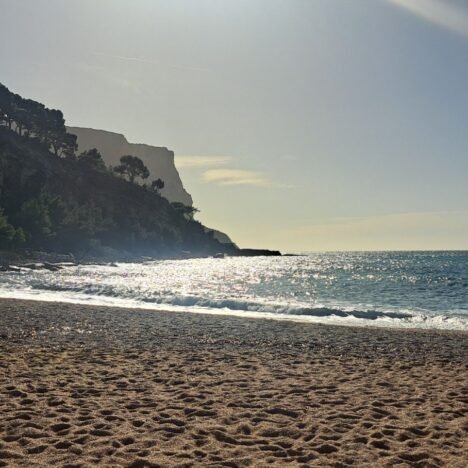 Le jour où j’ai compris que j’étais multipotentielle, tout s’est aligné